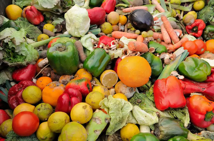 Why Food In Landfill Is Bad