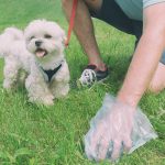 dog owner picking up poop in bag