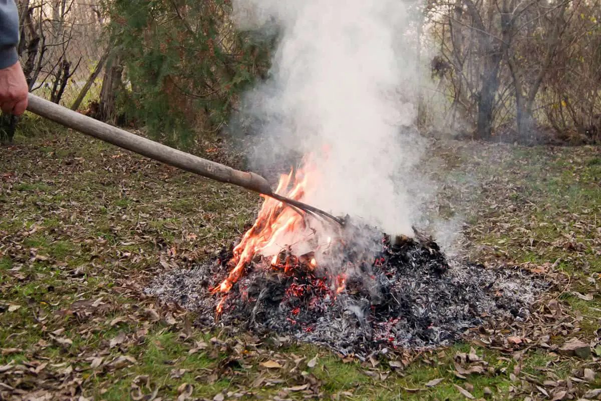 What Time Can You Burn Rubbish In Your Garden?