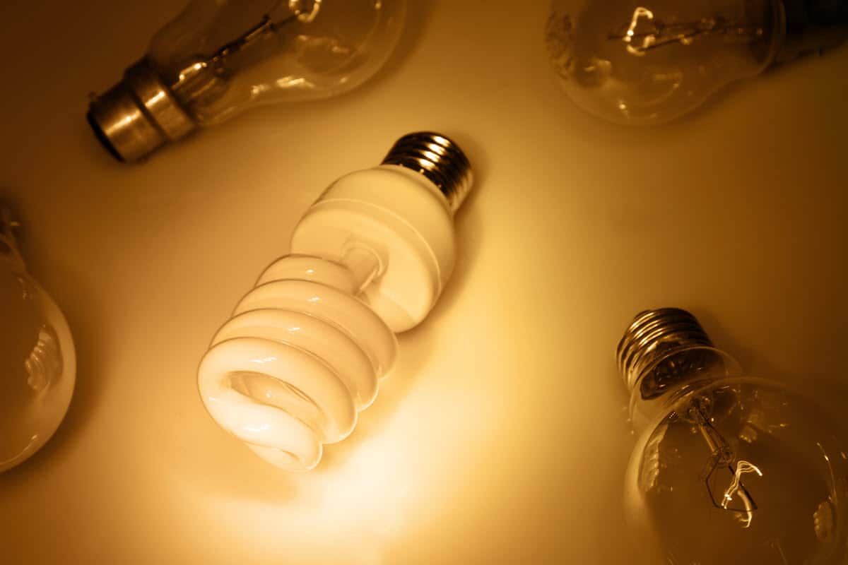 How To Dispose Of Light Bulbs