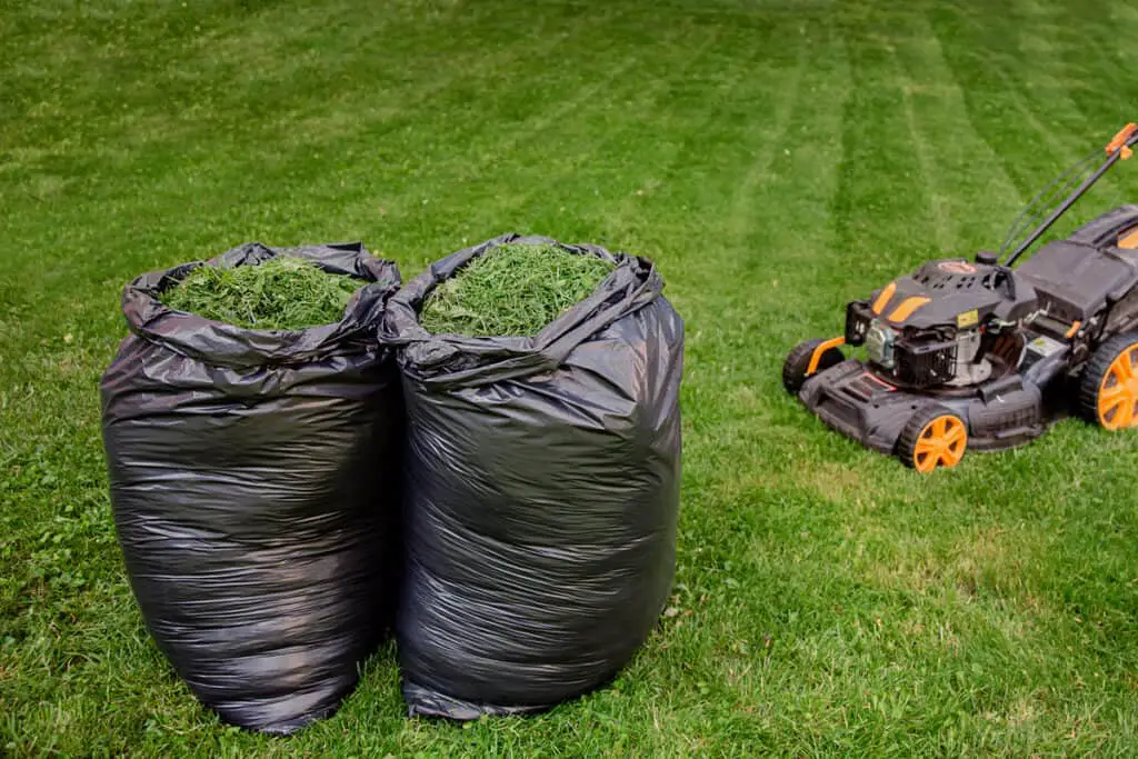 bags of grass clippings