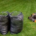 bags of grass clippings