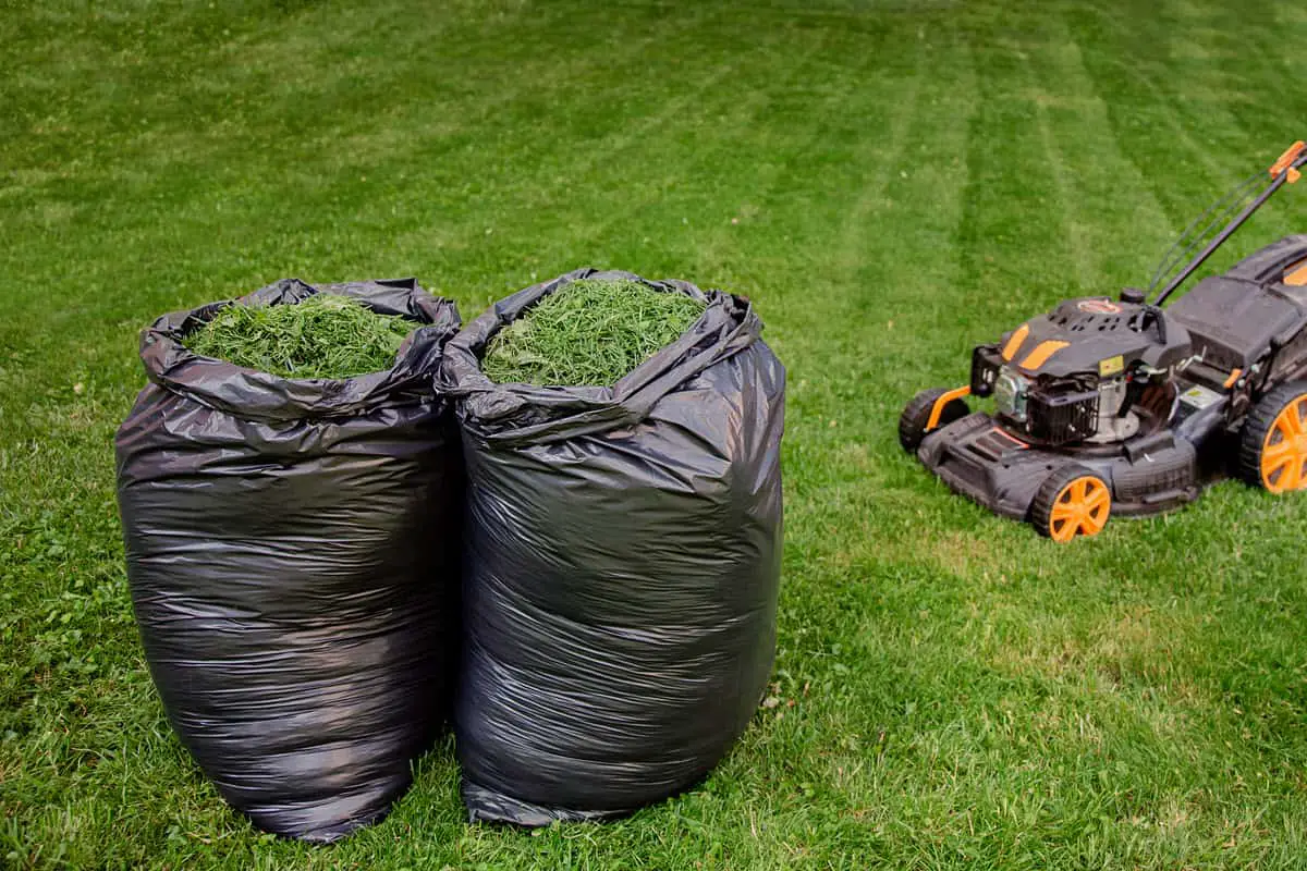 What Bin Does Grass Go In?