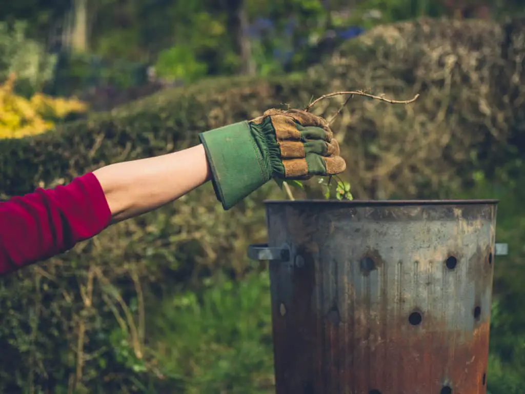 gardener placing weeds into incinerator bin